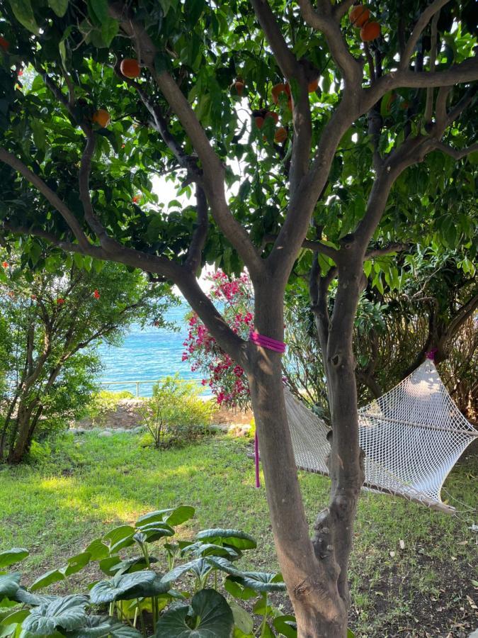 Nelinda Waterfront Accommodation Casamicciola Terme ภายนอก รูปภาพ